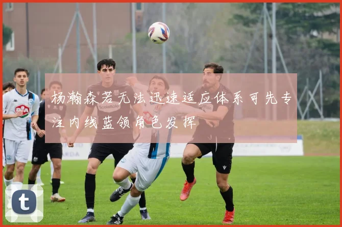 杨瀚森若无法迅速适应体系可先专注内线蓝领角色发挥
