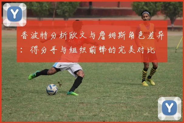 香波特分析欧文与詹姆斯角色差异：得分手与组织前锋的完美对比