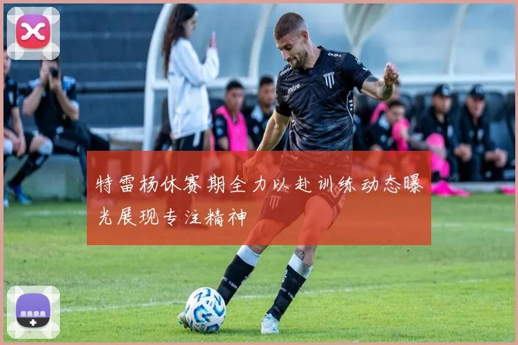 特雷杨休赛期全力以赴训练动态曝光展现专注精神