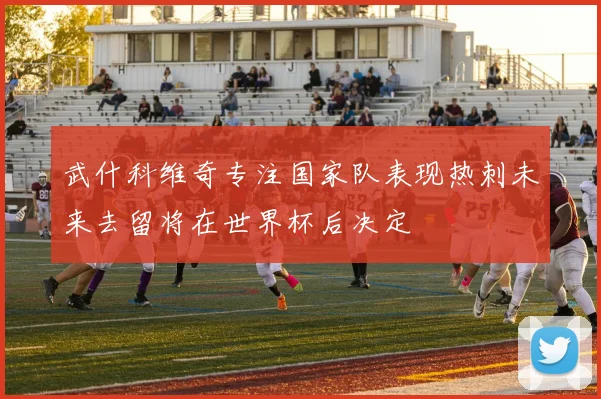 武什科维奇专注国家队表现热刺未来去留将在世界杯后决定
