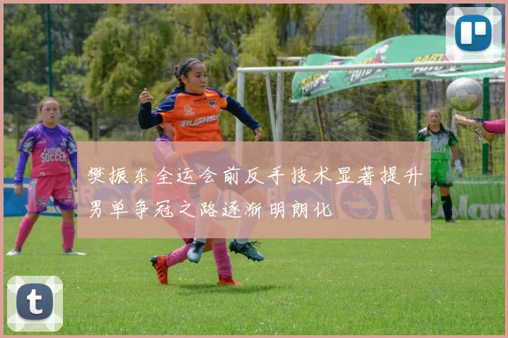 樊振东全运会前反手技术显著提升男单争冠之路逐渐明朗化