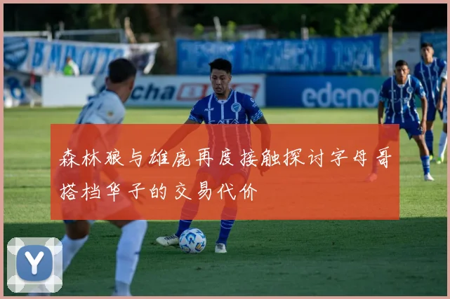 森林狼与雄鹿再度接触探讨字母哥搭档华子的交易代价